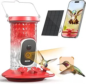 Qiyu Smart Hummingbird Feeder Camera