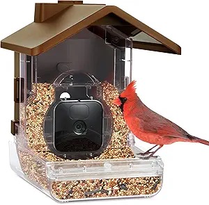 Wasserstein Bird Feeder Camera Case